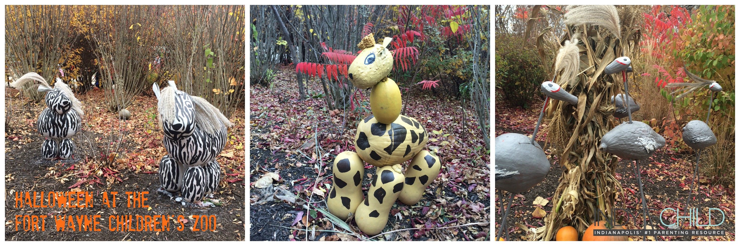 Road Trip Worthy Halloween at the Fort Wayne Children's Zoo Indy's Child Magazine
