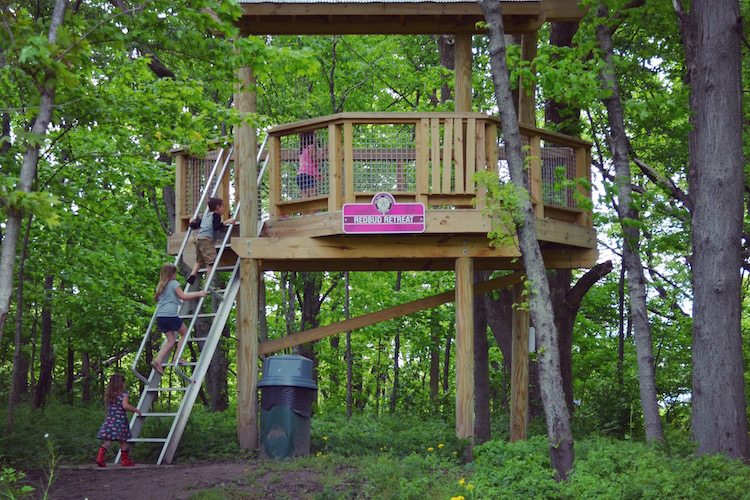 Treehouses at Flat Fork Creek Indy’s Child