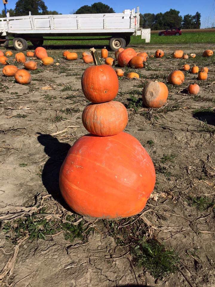 2017 Indianapolis Pumpkin Patch Guide Indy's Child Parenting Magazine
