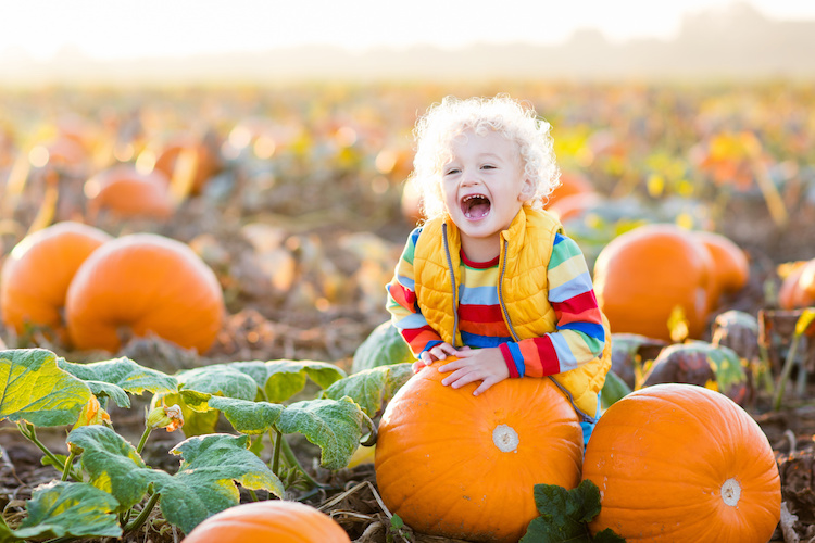 2017 Indianapolis Pumpkin Patch Guide Indy's Child Parenting Magazine