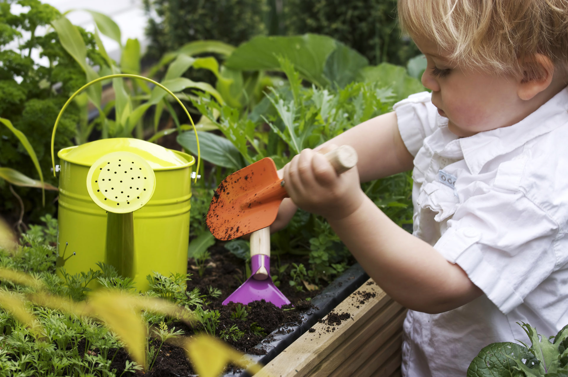 Gardening with Your Kids Southwest Ohio Parent Magazine