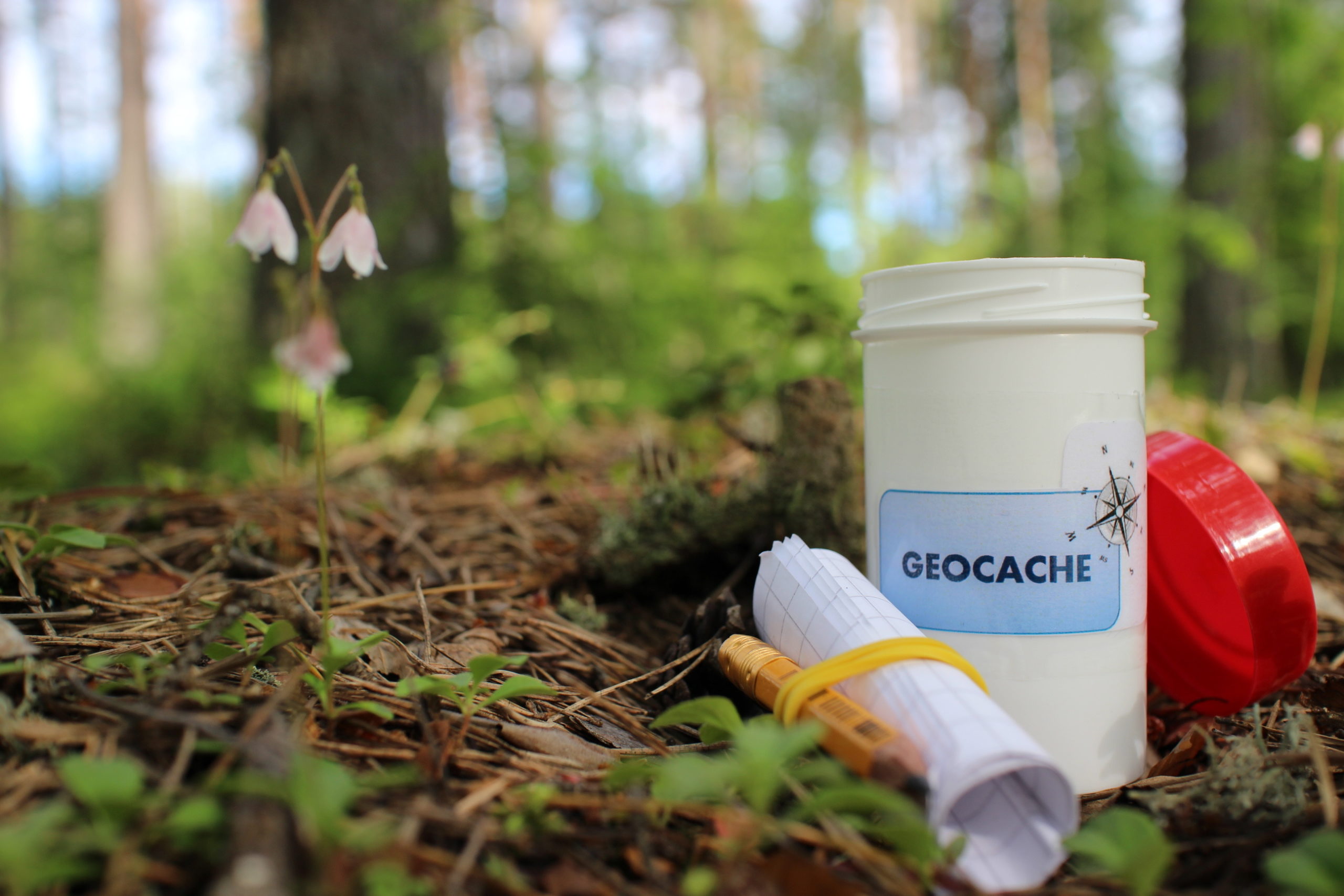 How to you go Geocaching with Kids Indy's Child Magazine