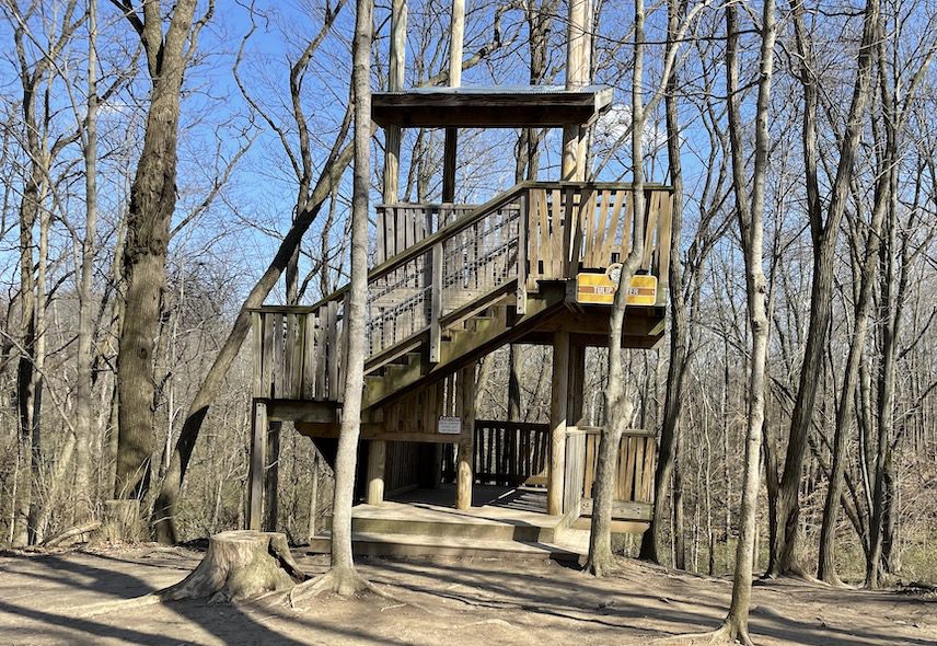 Flat Fork Creek Park 5 Things You'll Love about this Park