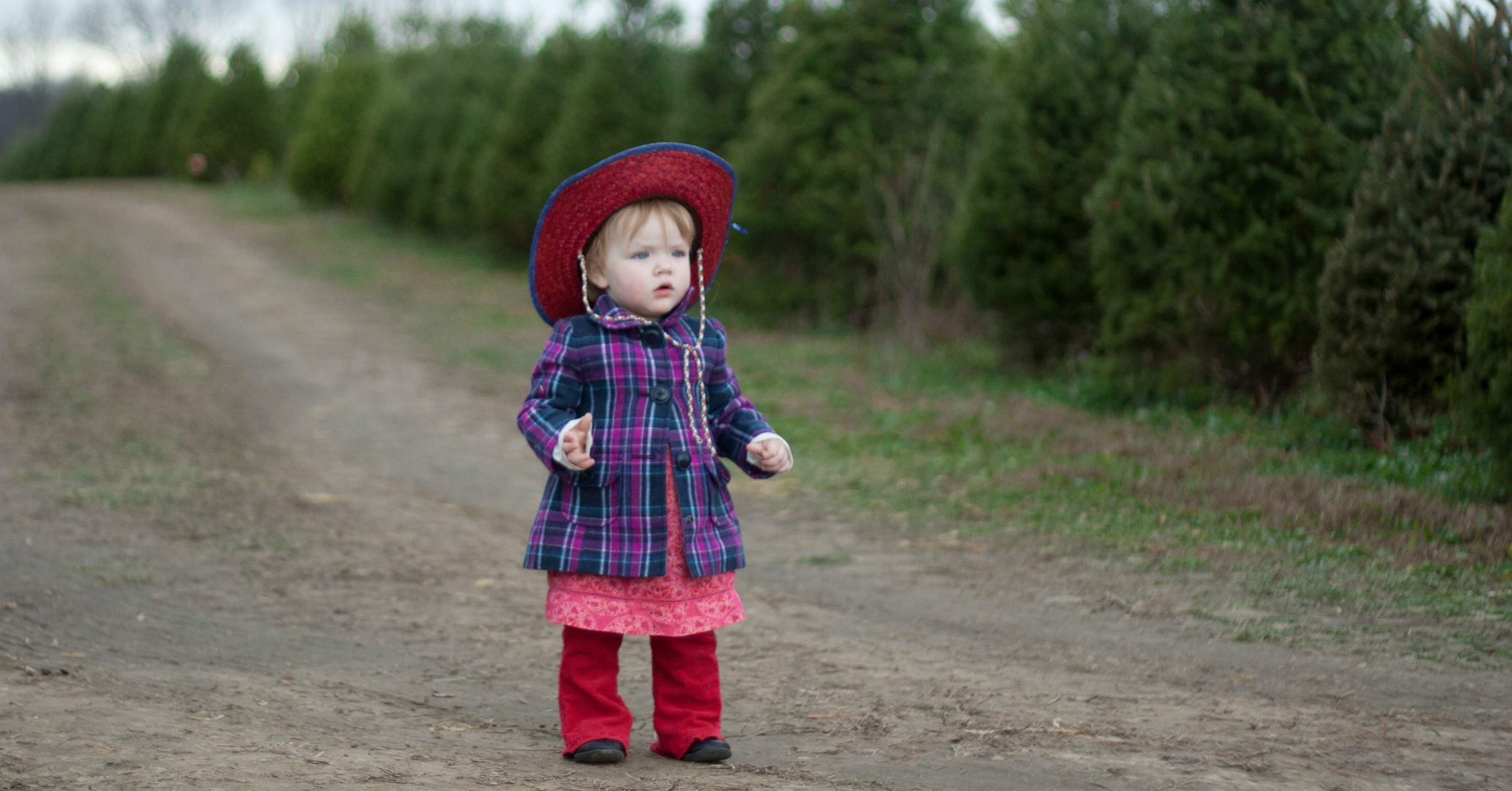 Piney Acres Christmas Tree Farm is a Beautiful Family Adventure