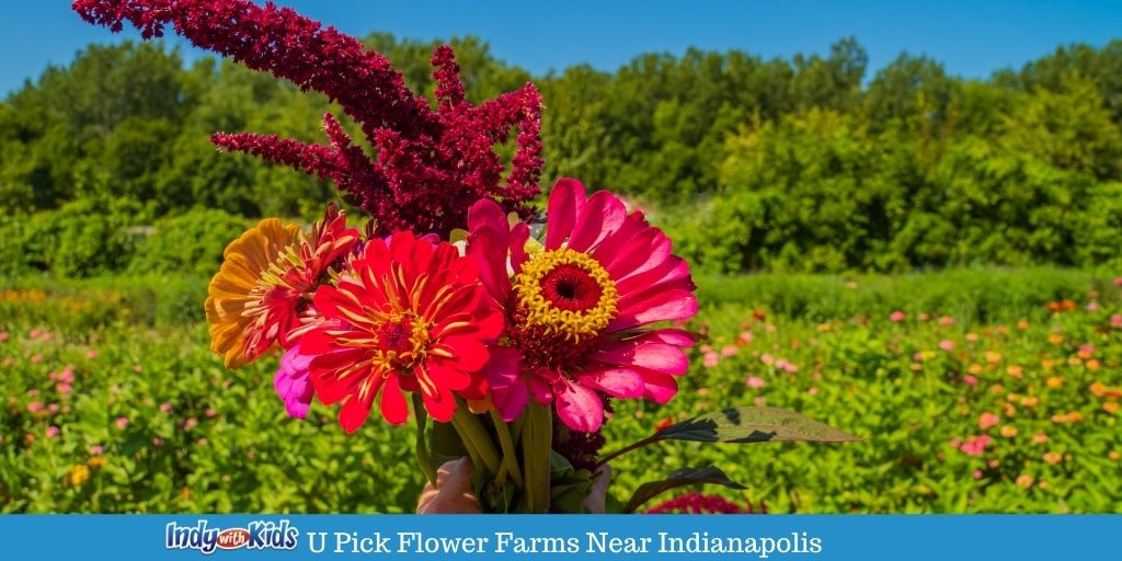 10 Simply Stunning UPick Flower Farms Near Me Central Indiana