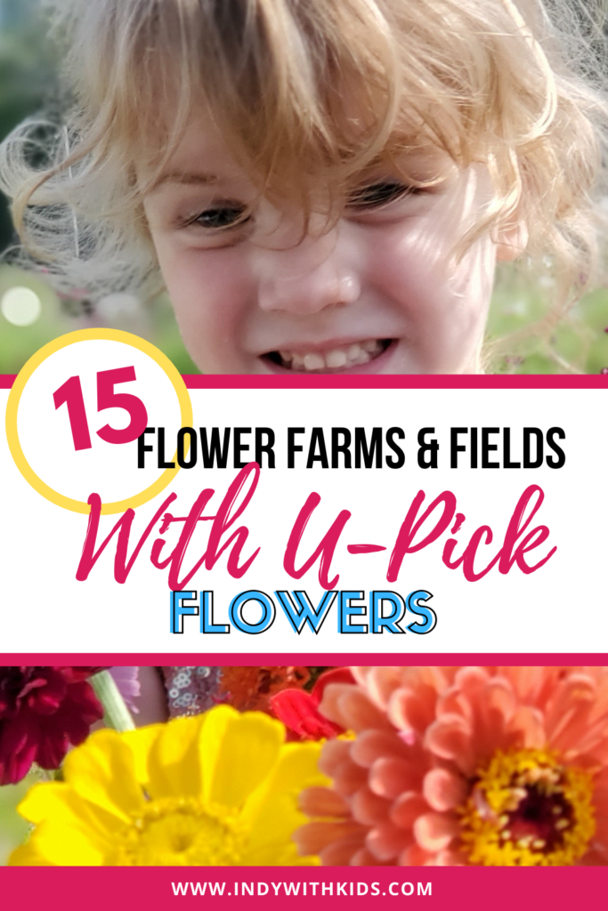 UPick Flower Farms Near Indianapolis