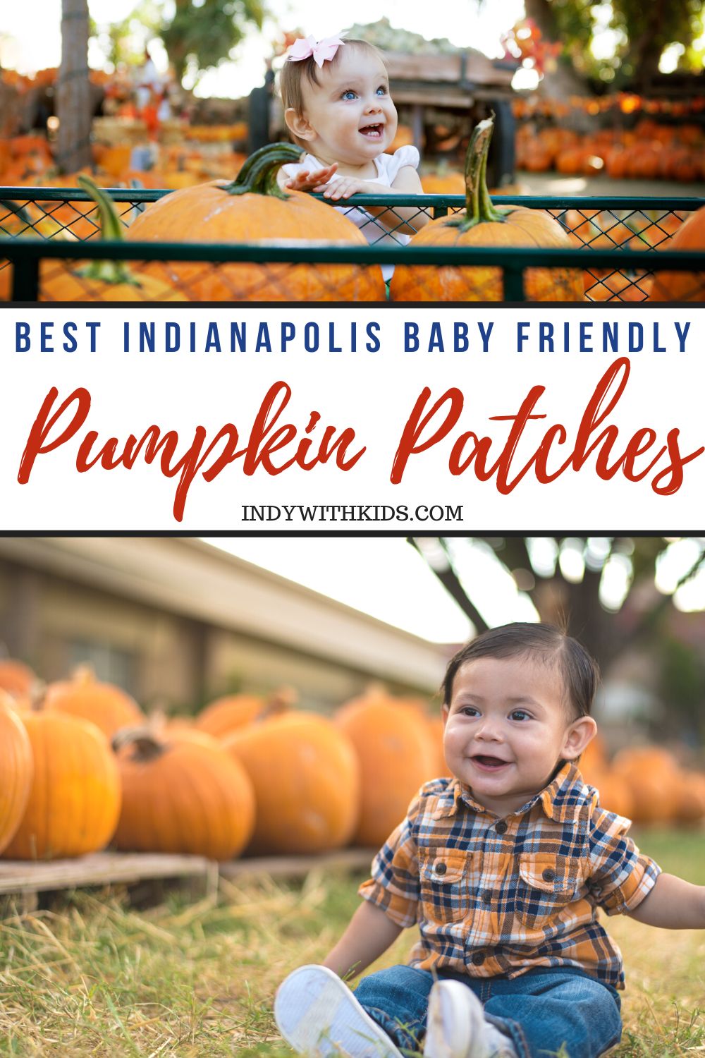 Best Indianapolis Pumpkin Patches for Babies