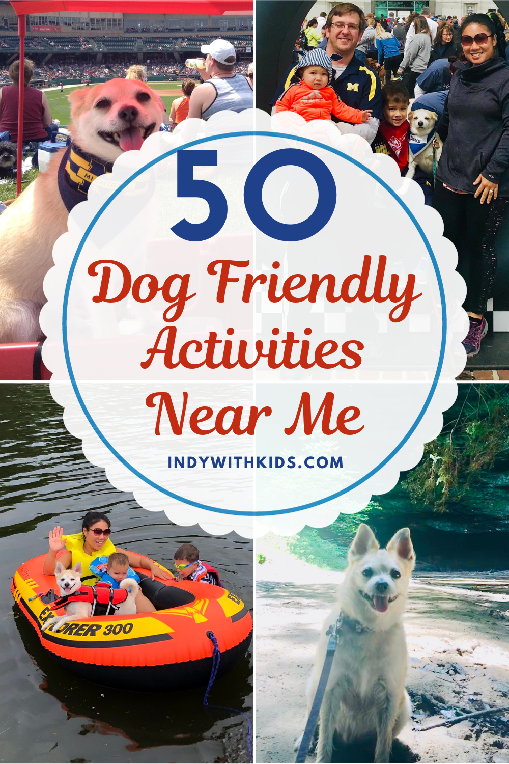 Discover 50 Dog Friendly Activities Near Me