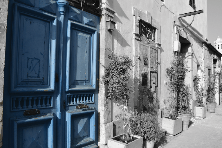 Elements How to Use Black and White Selection In Easy Steps