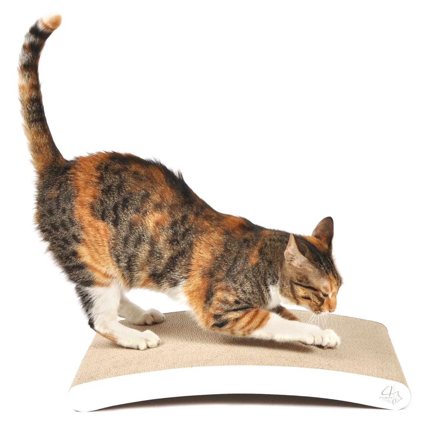 BASICS Collection Curve Scratching Pad Best Offer
