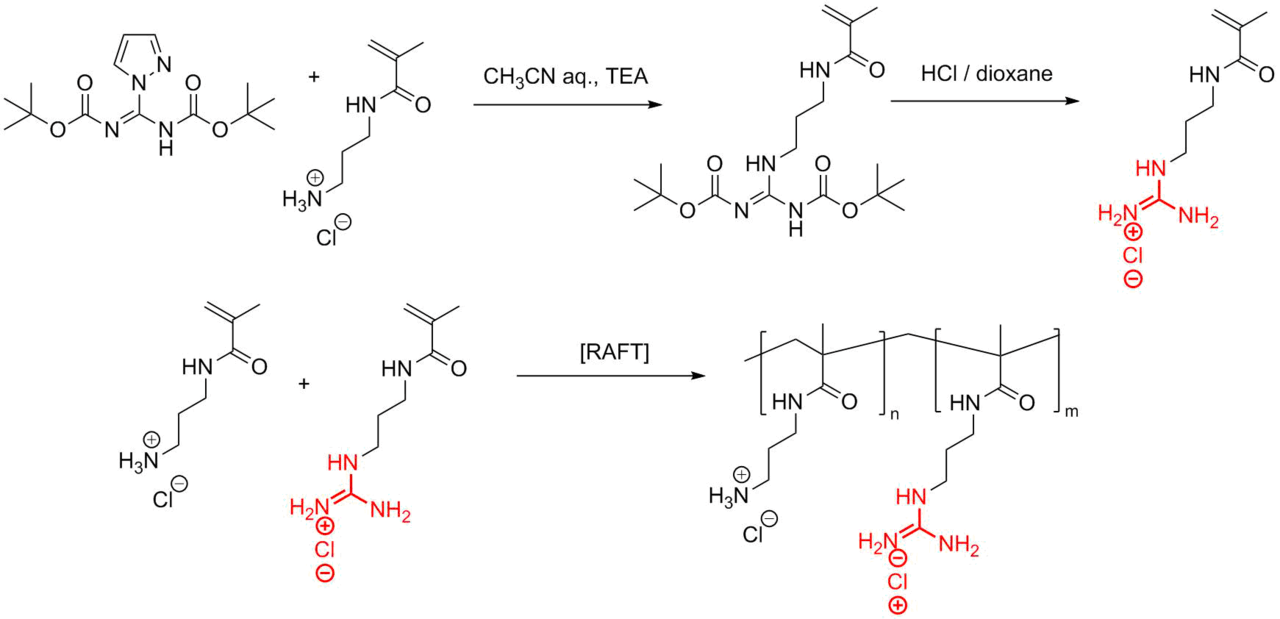 Guanidine a Simple Molecule with Great Potential from Catalysts to