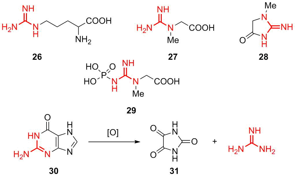 Guanidine a Simple Molecule with Great Potential from Catalysts to
