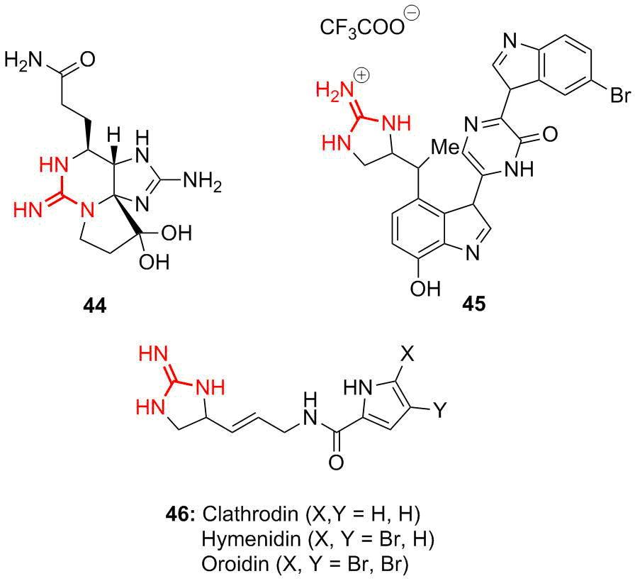 Guanidine a Simple Molecule with Great Potential from Catalysts to
