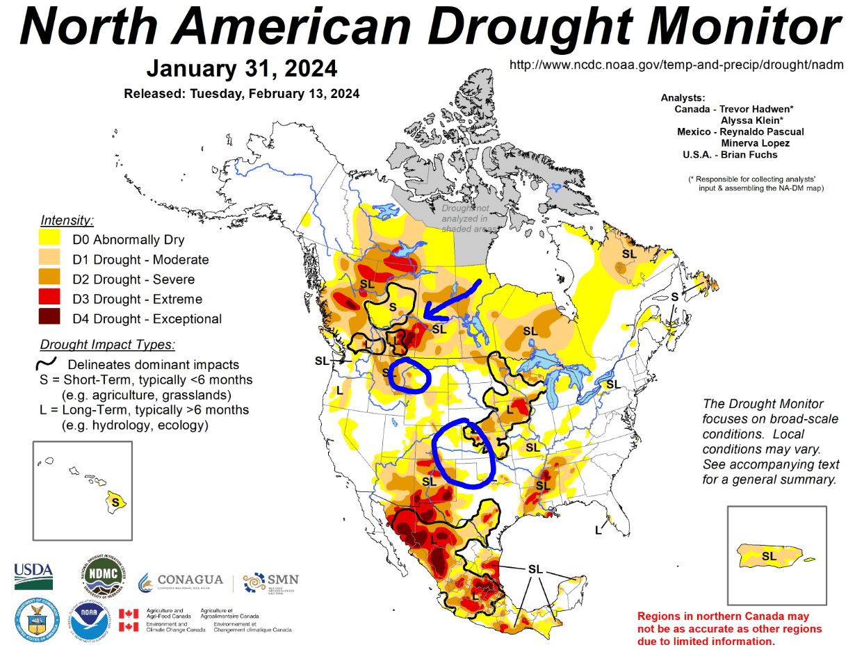 Cash Bids Northwest Grain Growers