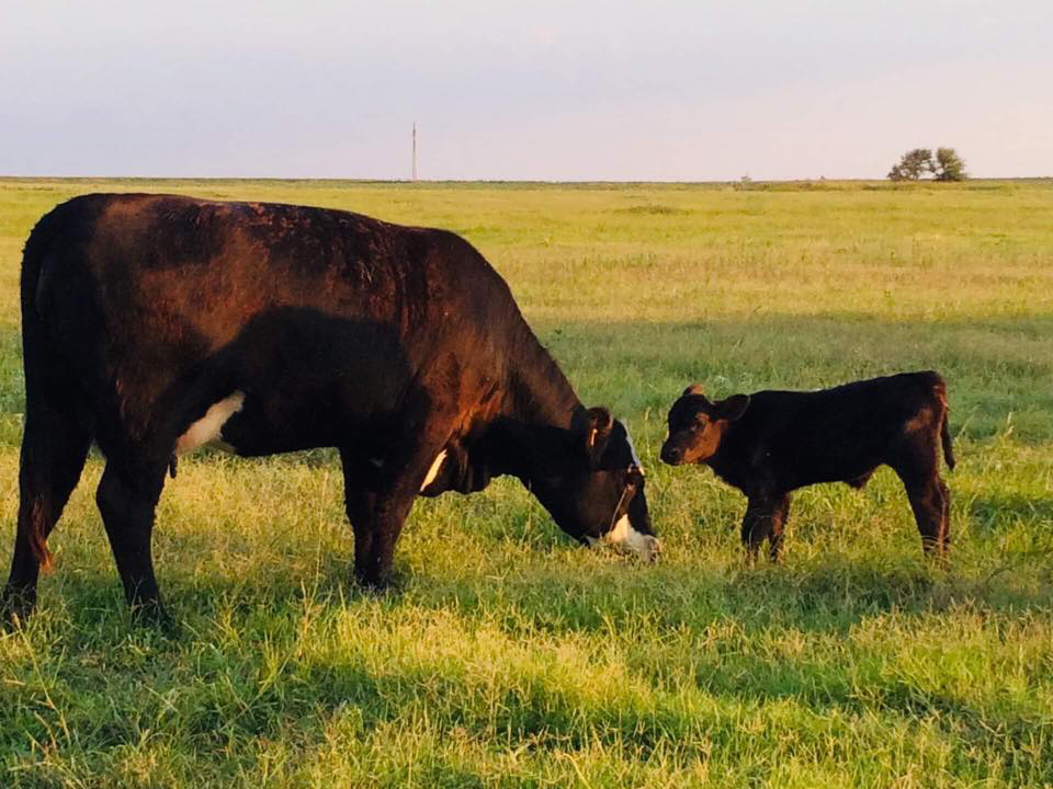 Feed Farmers Grain Company