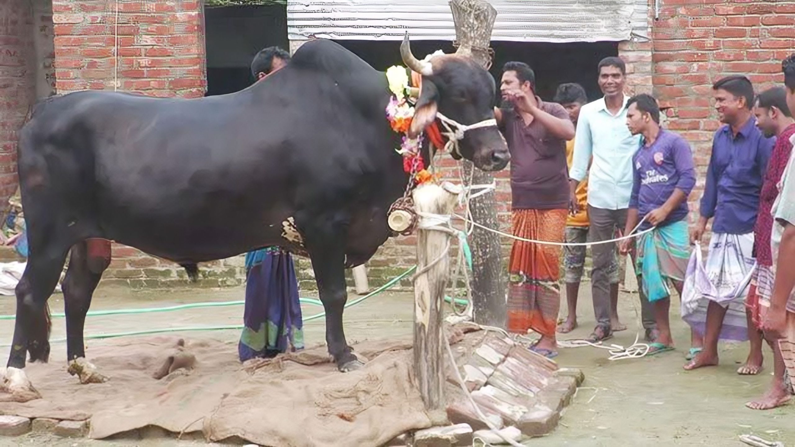 ৩৫ লাখ টাকার বিগবস কিনলে মোটরসাইকেল ফ্রি!