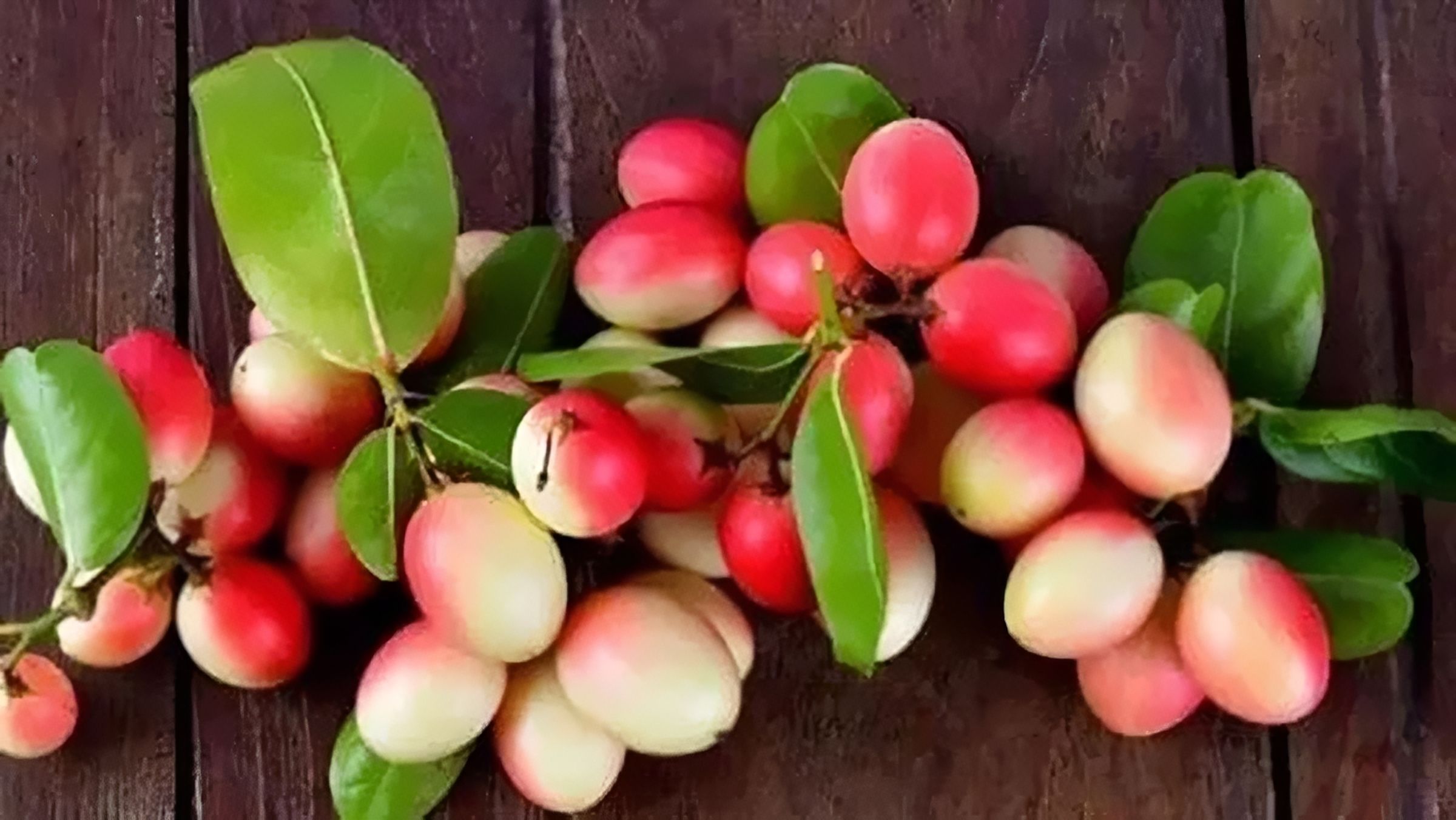 করমচার যত স্বাস্থ্য উপকারিতা
