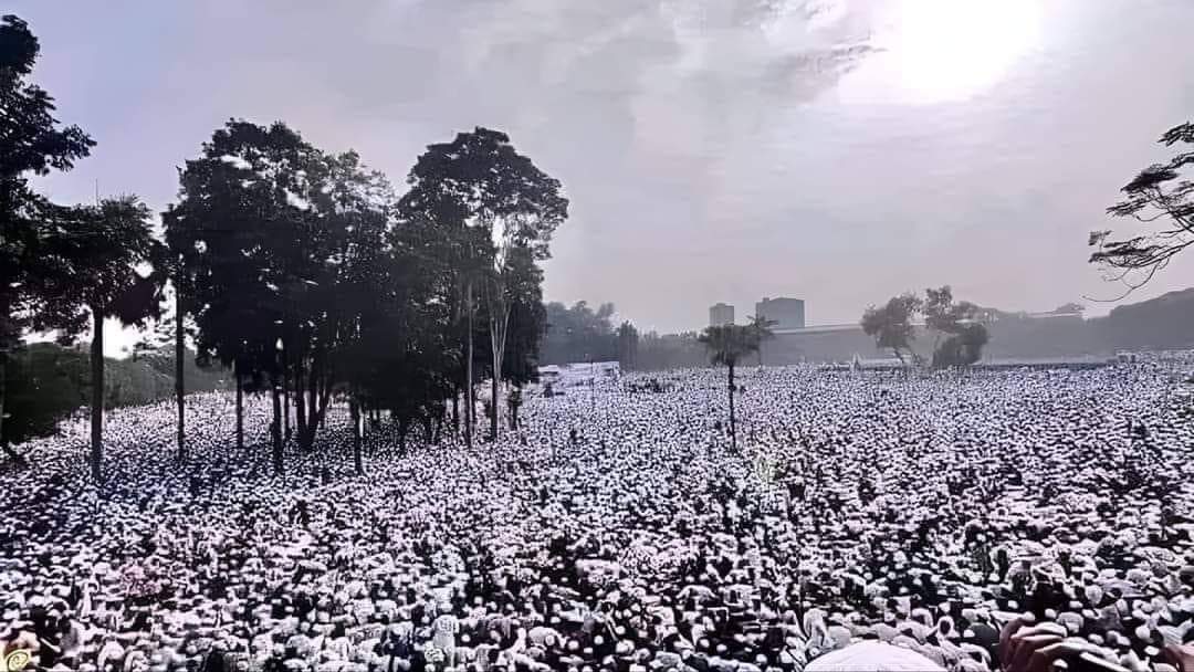 সোহরাওয়ার্দী উদ্যানে তাবলিগ জামাতের মহাসমাবেশে জনতার ঢল