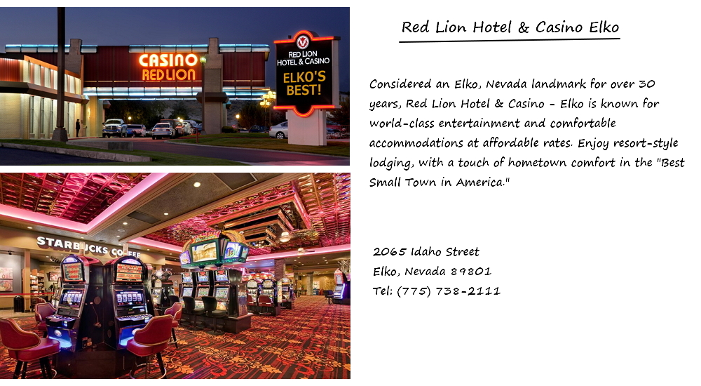 Inez's D&D Bar / She also serves as an expert witness in consumer