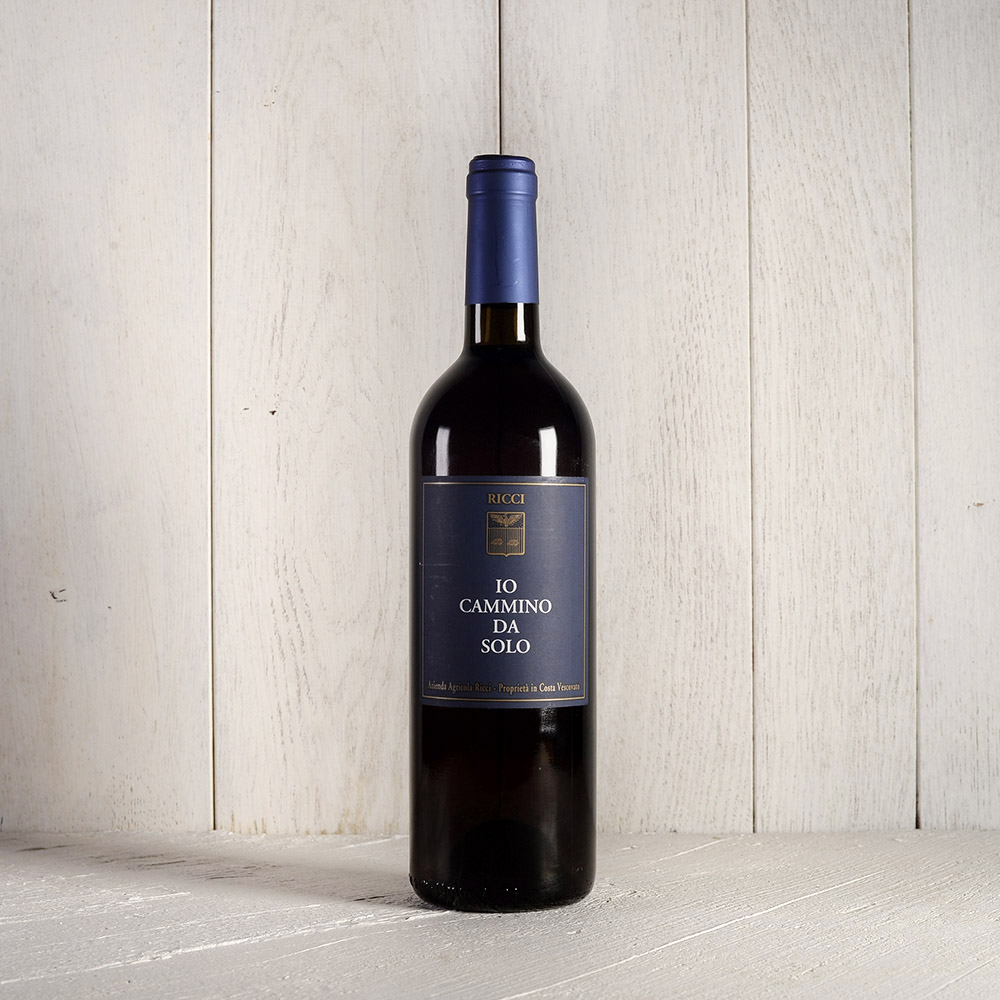 Io cammino da solo 2012 Daniele Ricci Infernot