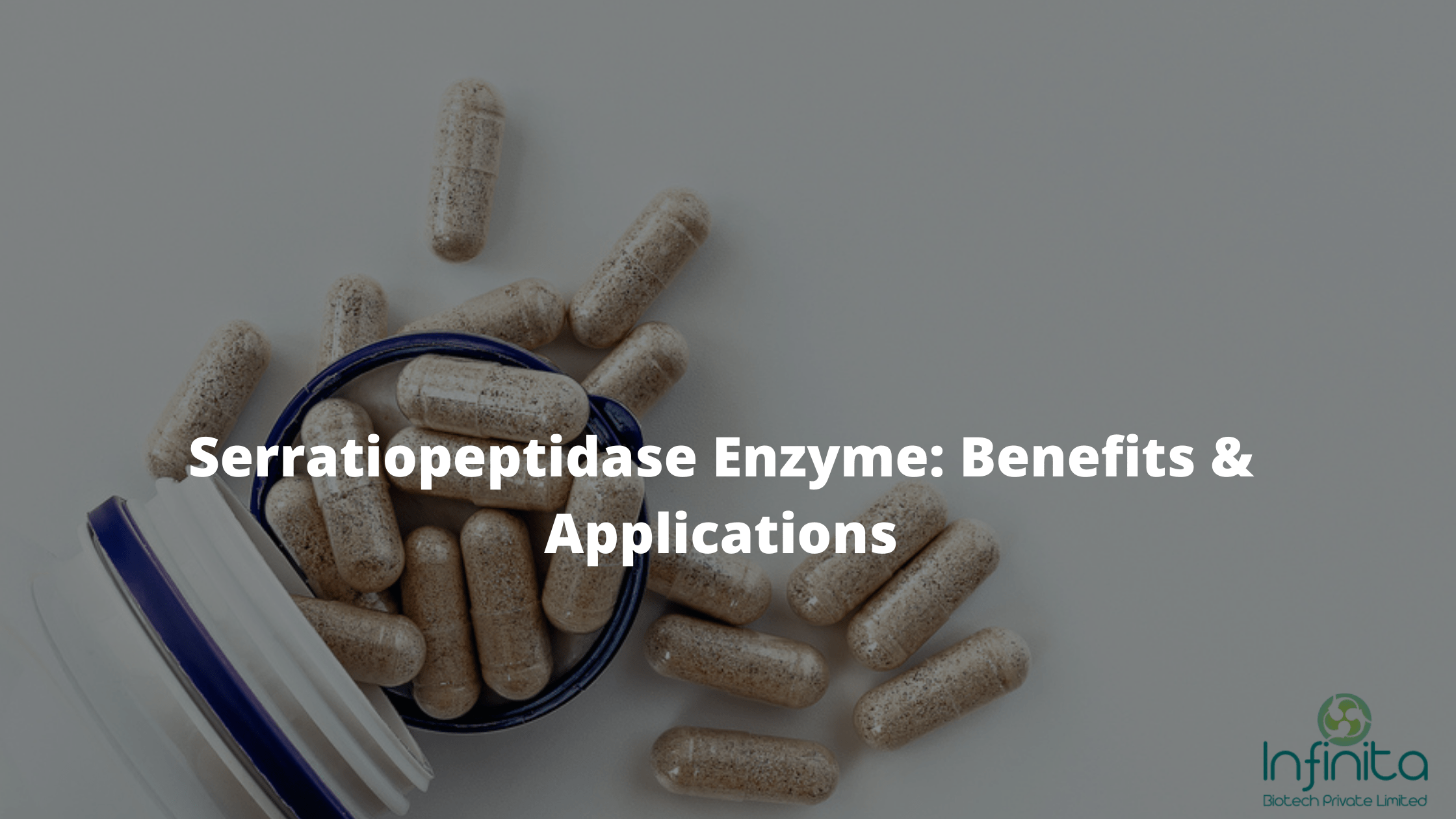 Serratiopeptidase Enzyme Benefits & Applications Infinita Biotech