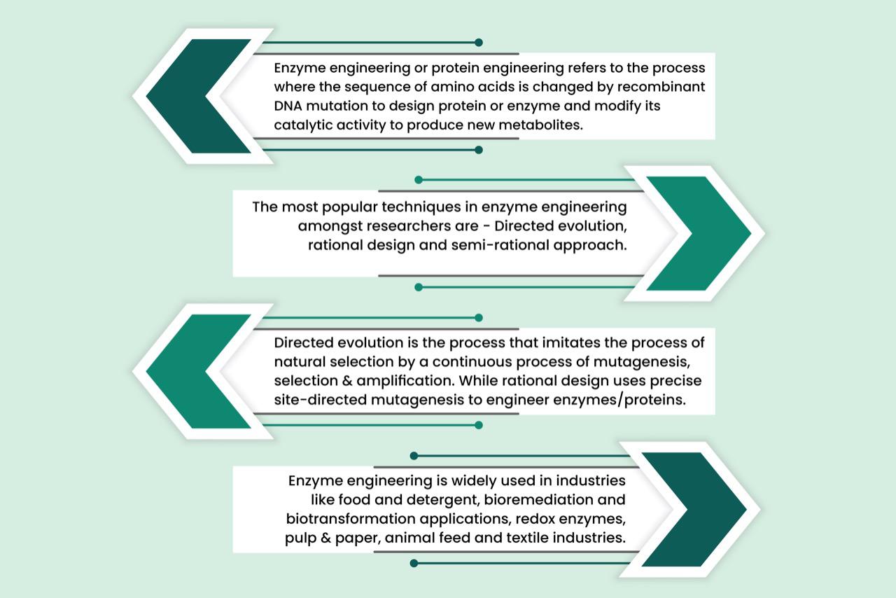 Enzyme Engineering And Its Application Infinita Biotech