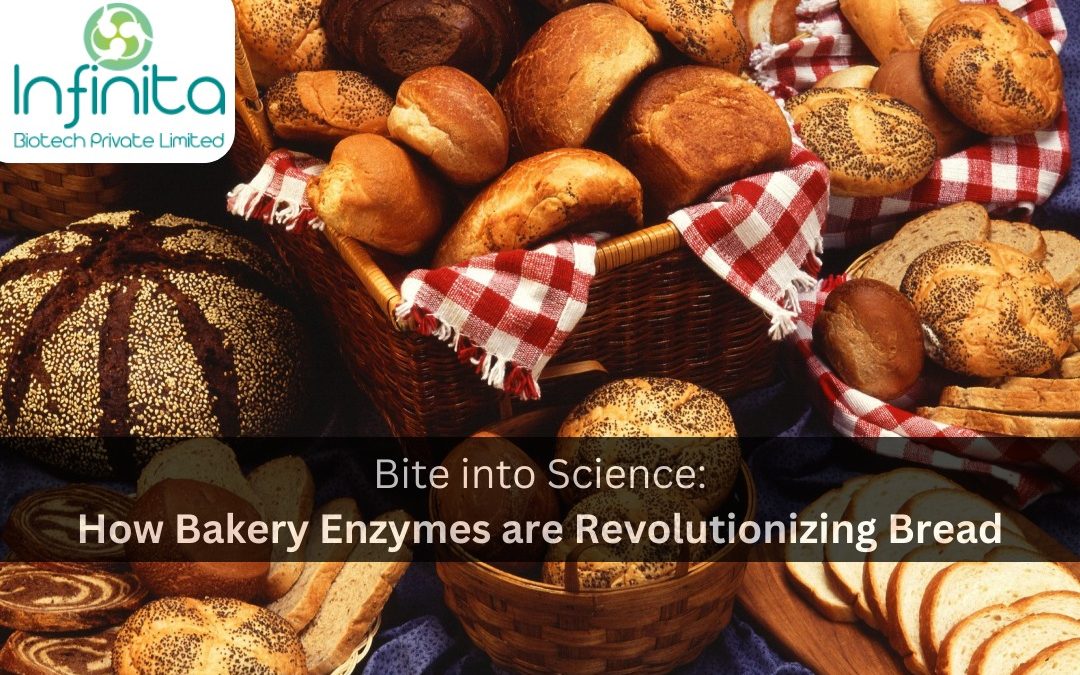 Bite into Science How Bakery Enzymes are Revolutionizing Bread