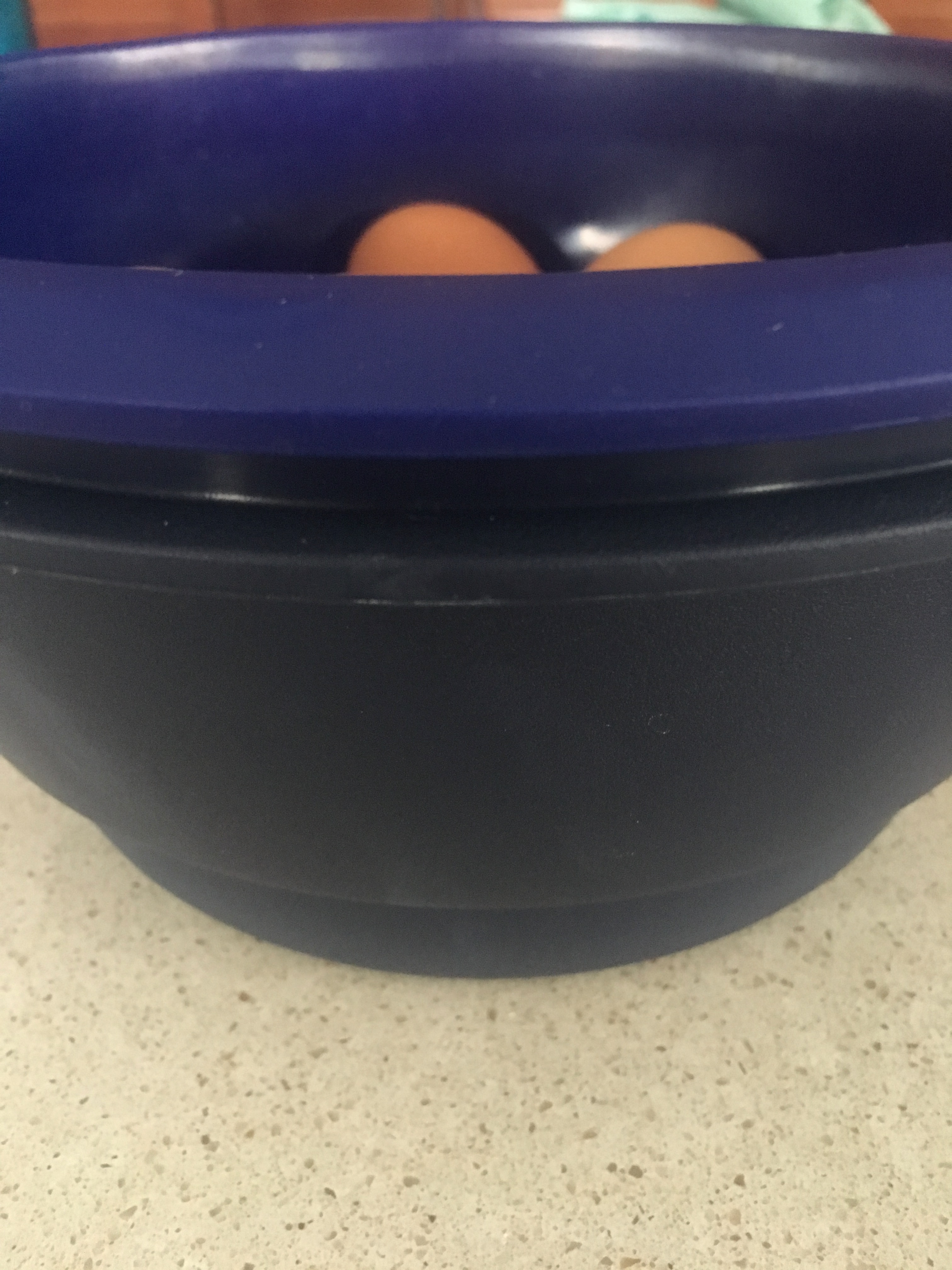 Egglet Blt Infinite Shine Enterprises Tupperware