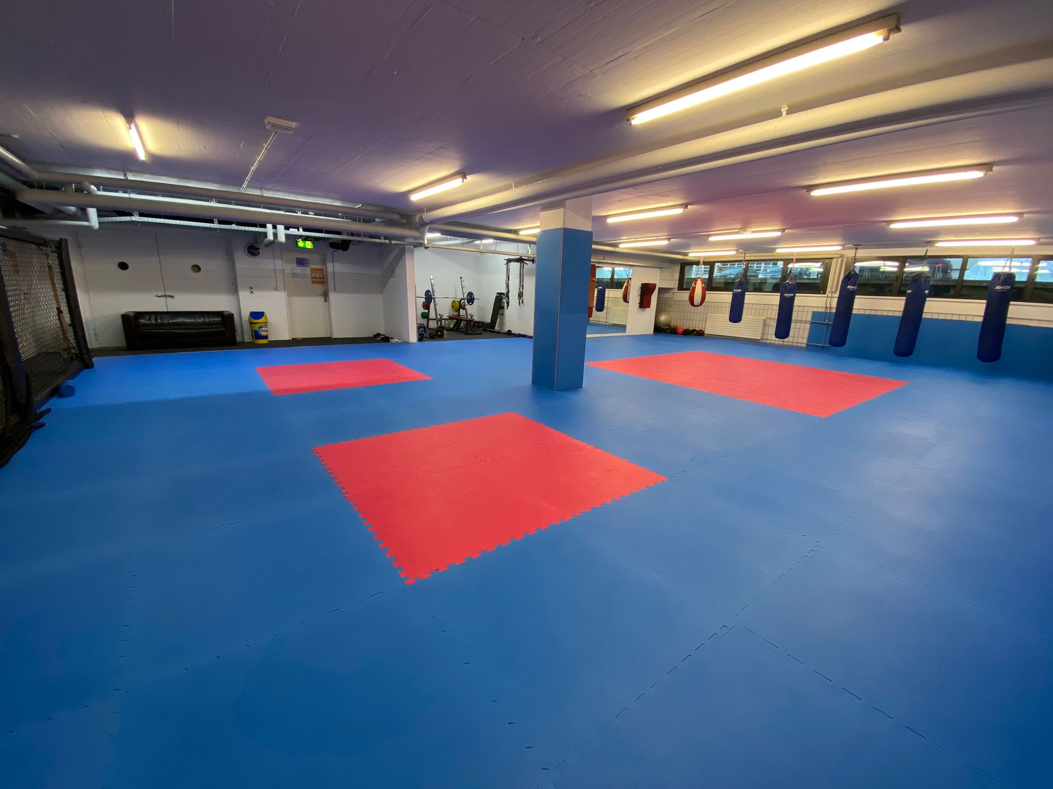 Selbstverteidigungskurse Infinitus Security