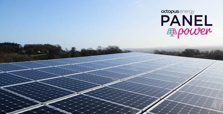 Octopus launches new Panel Power tariffs for businesses with solar
