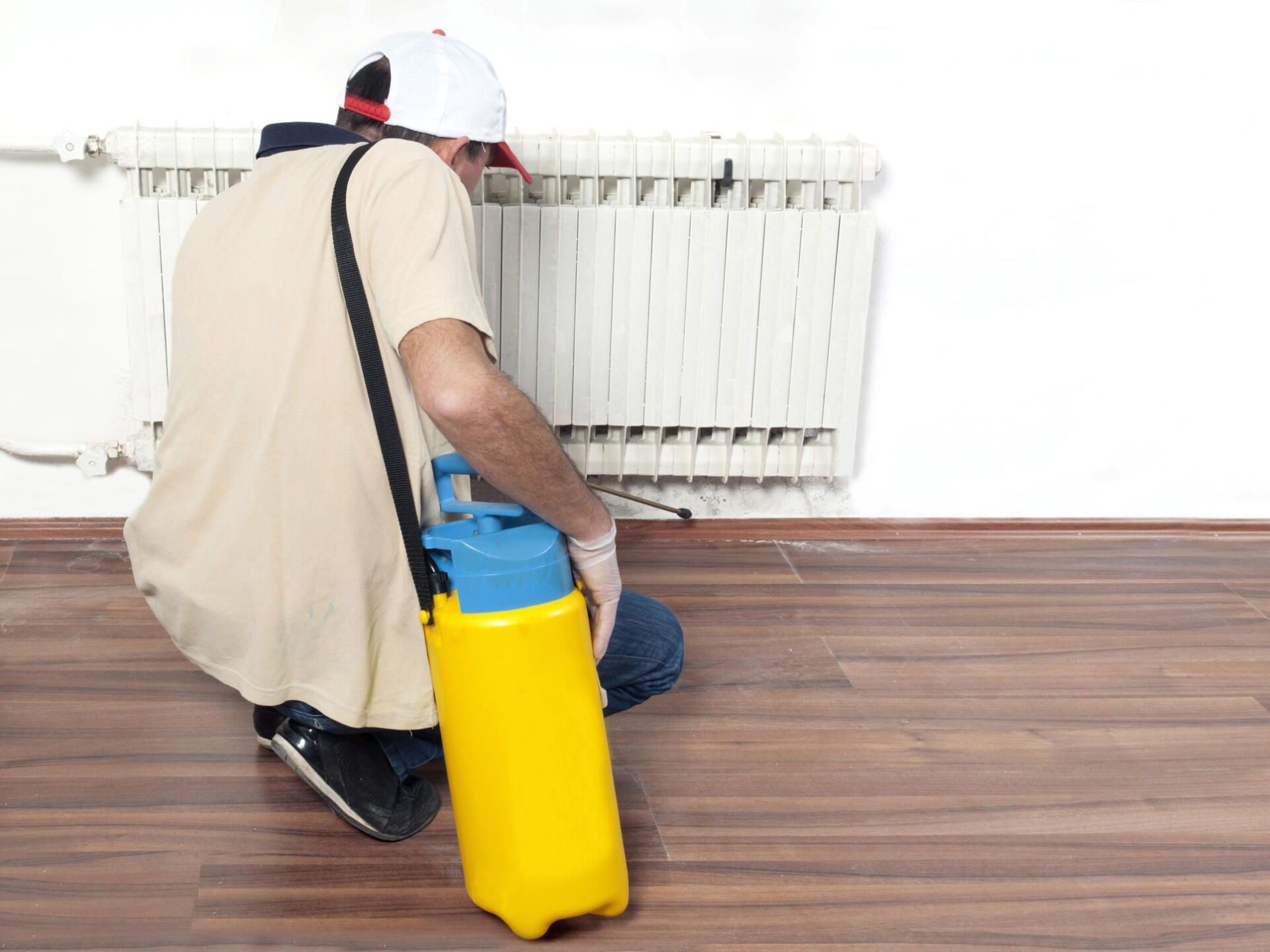 Steps To Correct Pest Control In The Food Industry infinityspace