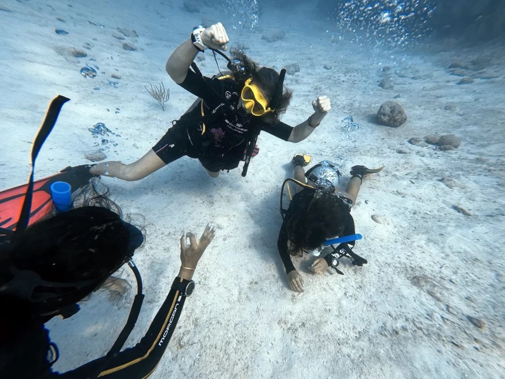 PADI Advanced, Rescue and Divemaster Program Tulum Diving Packages & Experiences