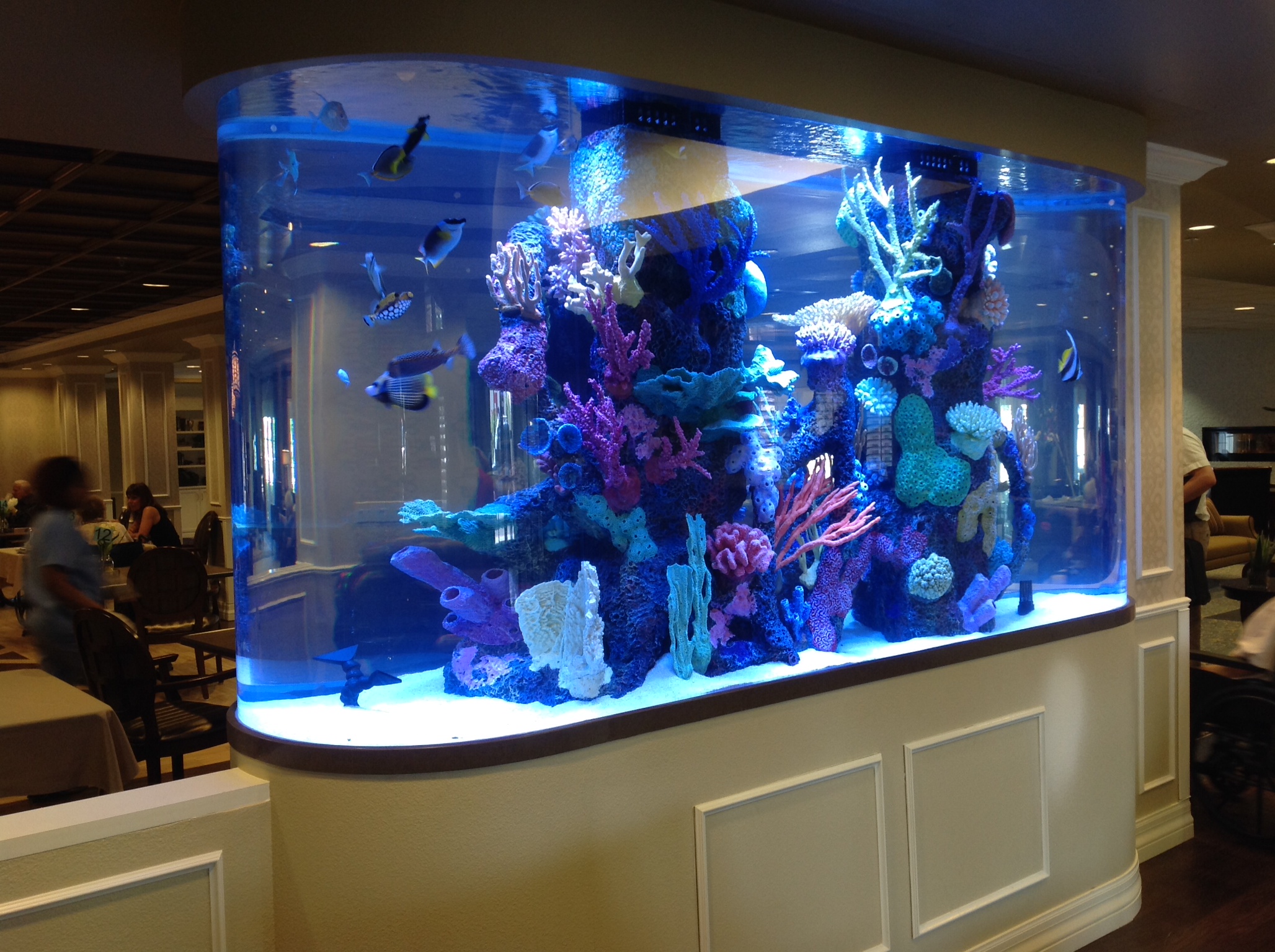 1200 Gallon Race Track with Faux Reef Aquarium Maintenance Las Vegas