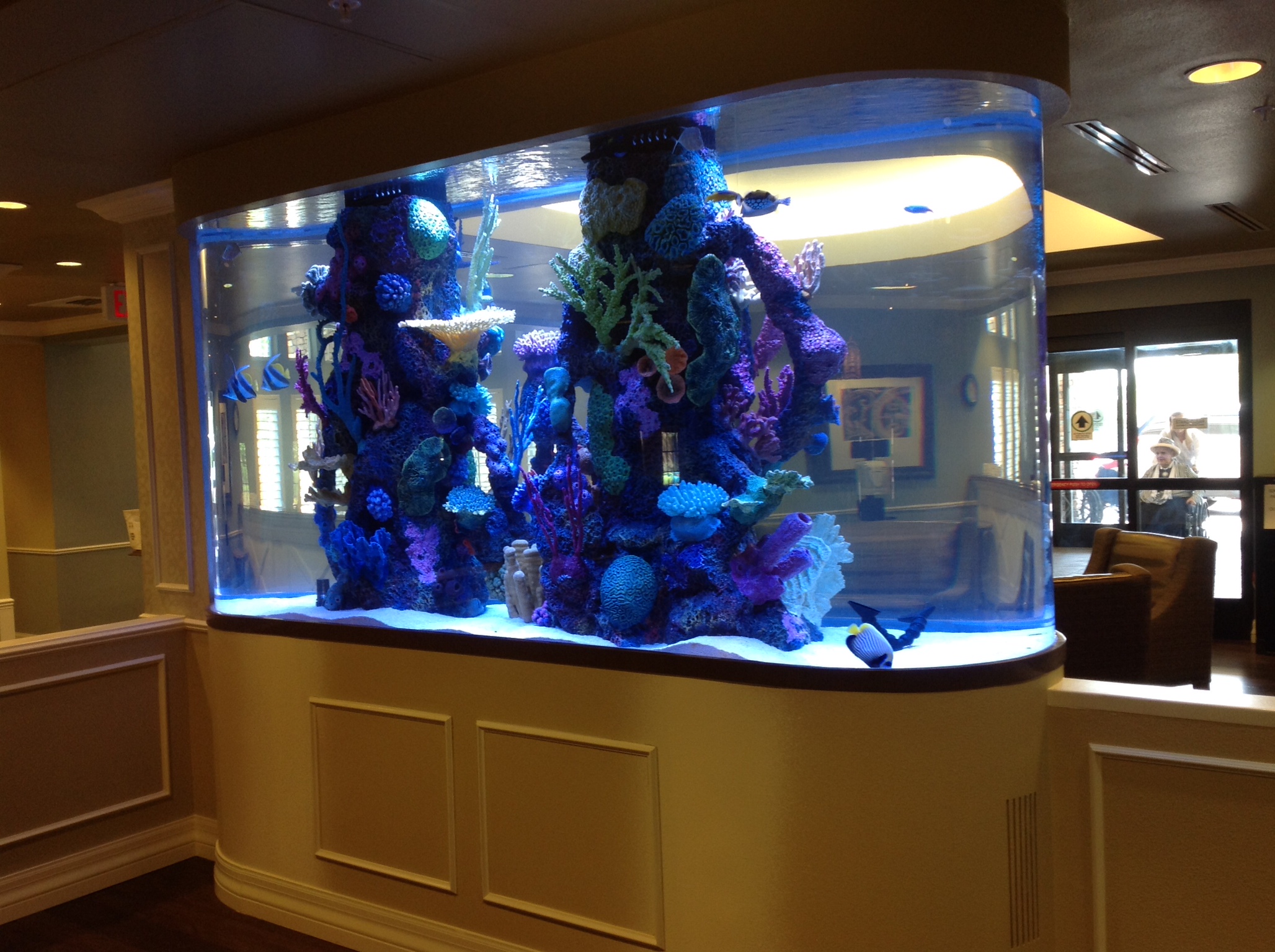 1200 Gallon Race Track with Faux Reef Aquarium Maintenance Las Vegas