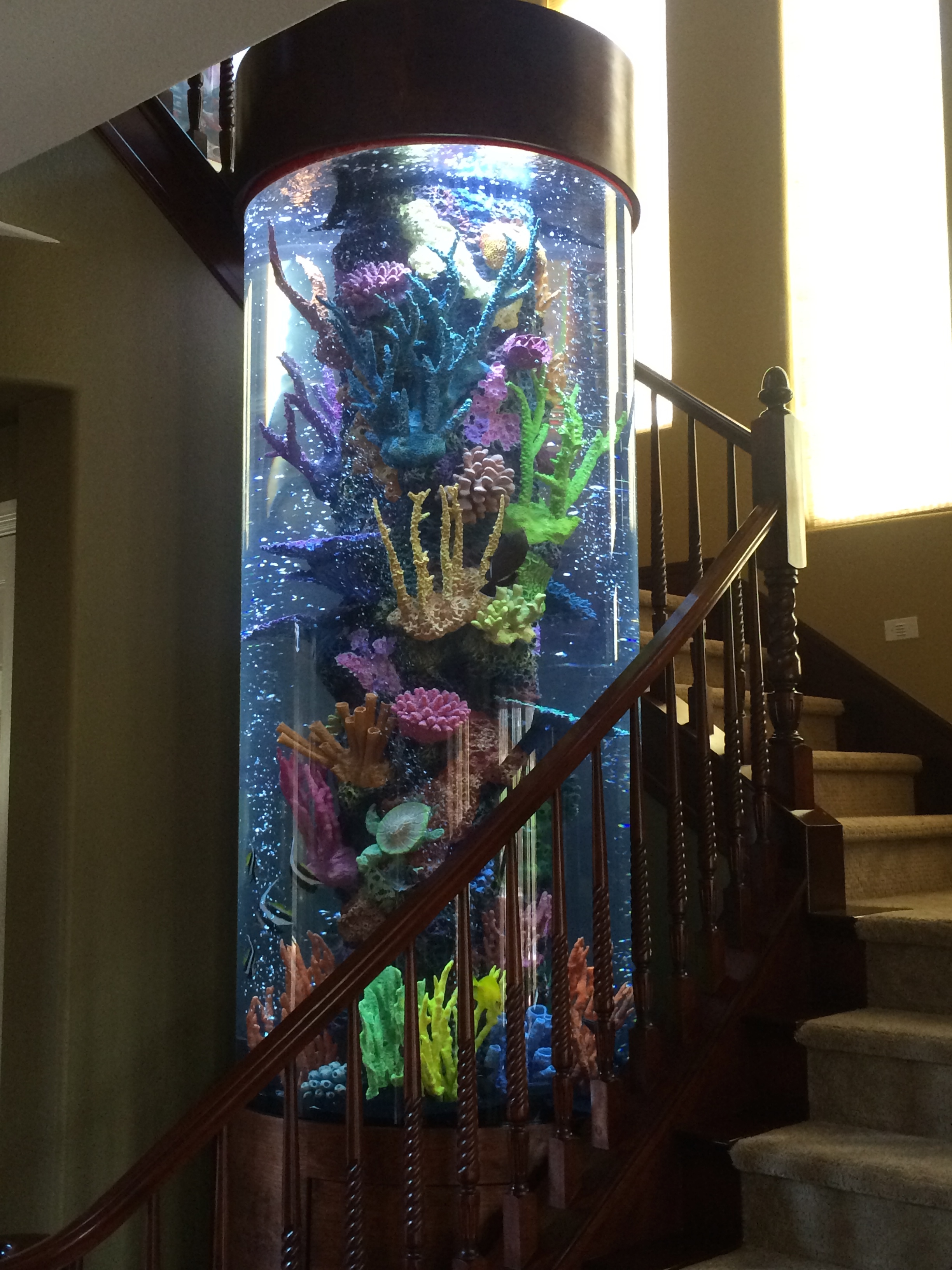 Cylindrical Aquarium With Faux Reef Aquarium Maintenance Las Vegas