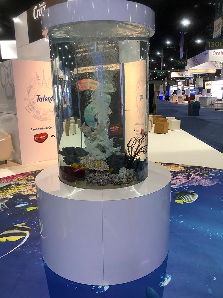 Aquarium Rentals Aquarium Maintenance Las Vegas Infinity Aquarium