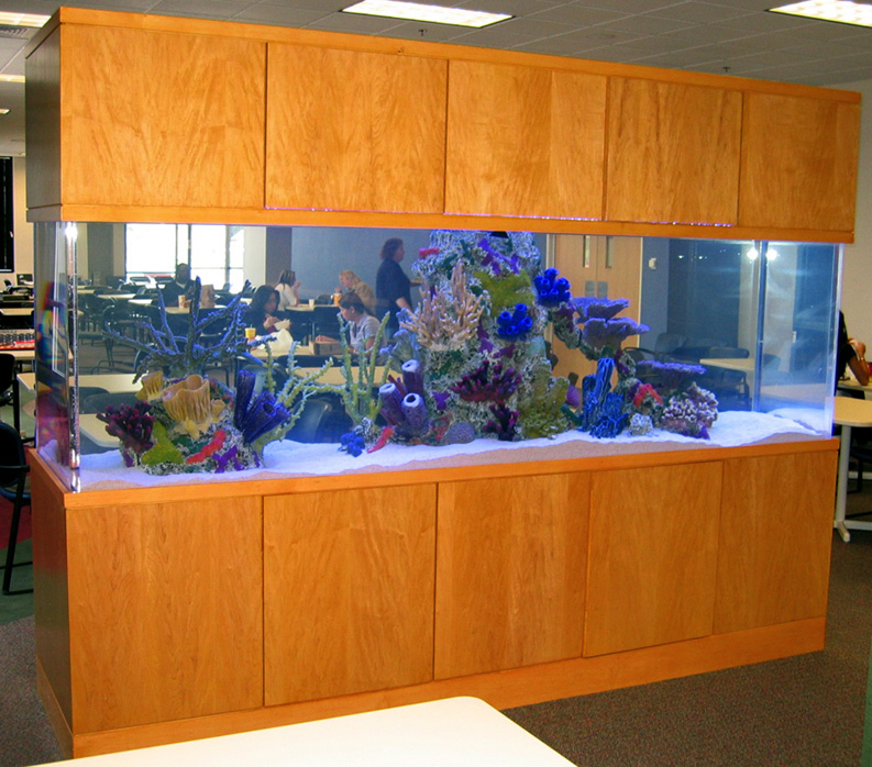 800 Gallon Marine Aquarium FreeStanding with Faux Reef Aquarium