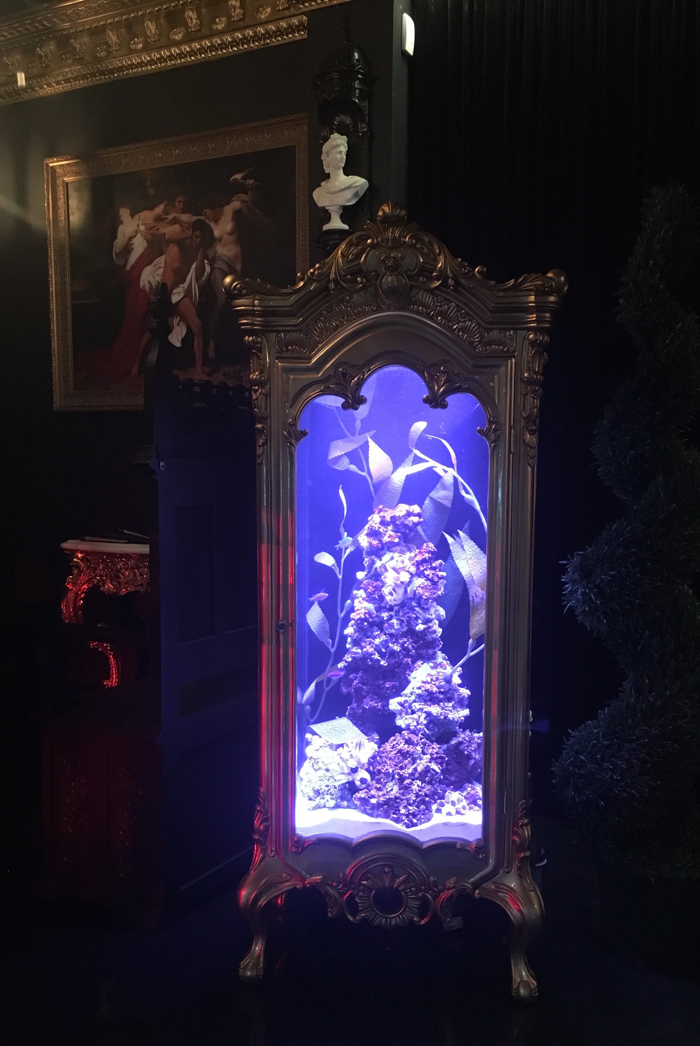 Antique Curio Aquarium Aquarium Maintenance Las Vegas