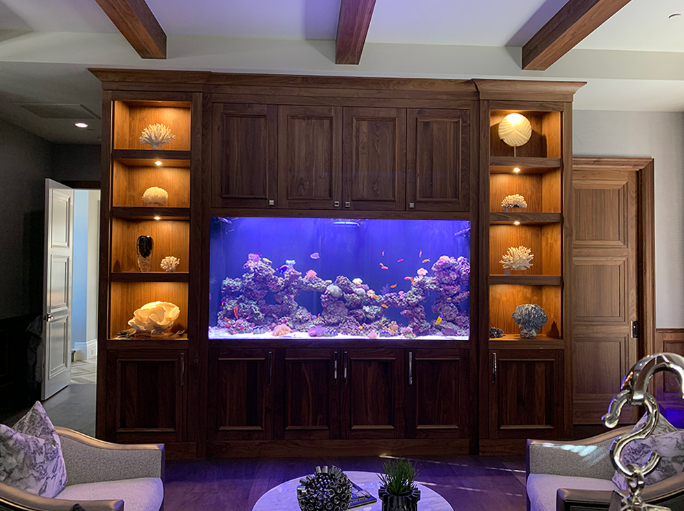 Morelan1 Aquarium Maintenance Las Vegas Infinity Aquarium