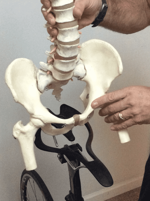 The Science Behind The Seat Infinity Bike Seat