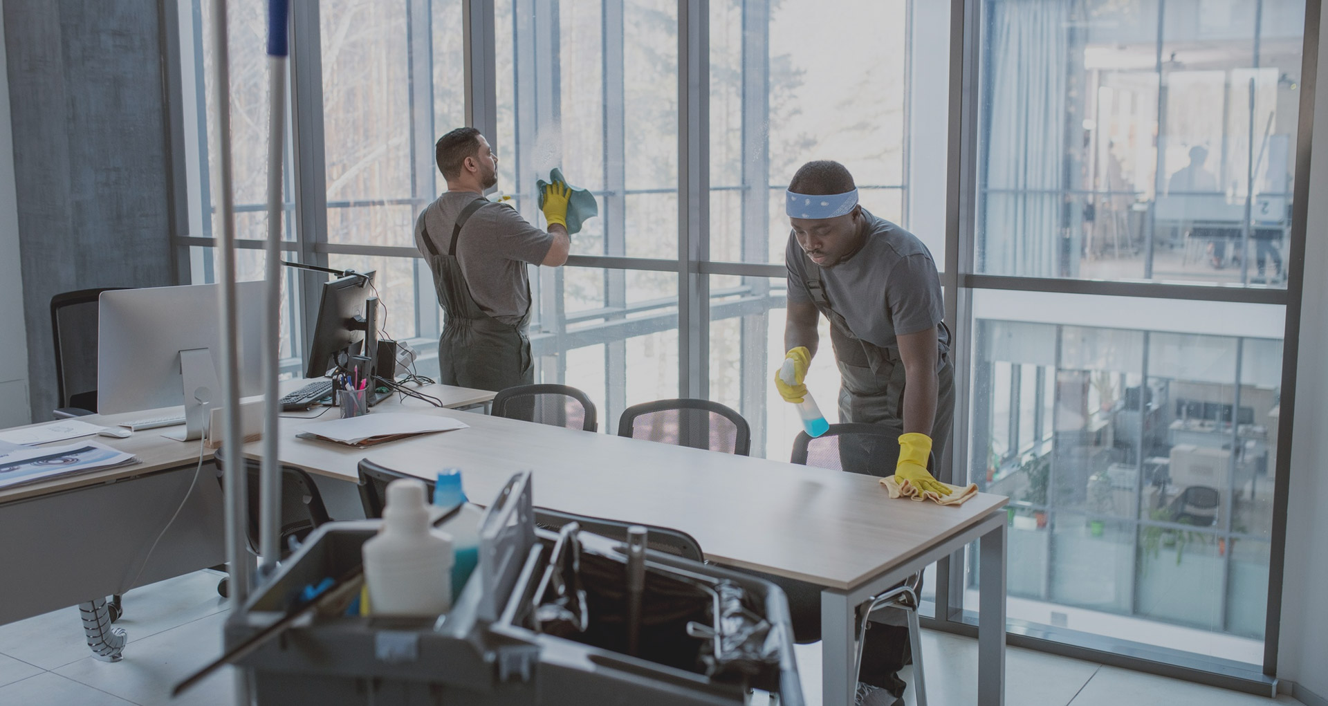 Cleaning Service Company in Qatar Infinity Cleaning Qatar