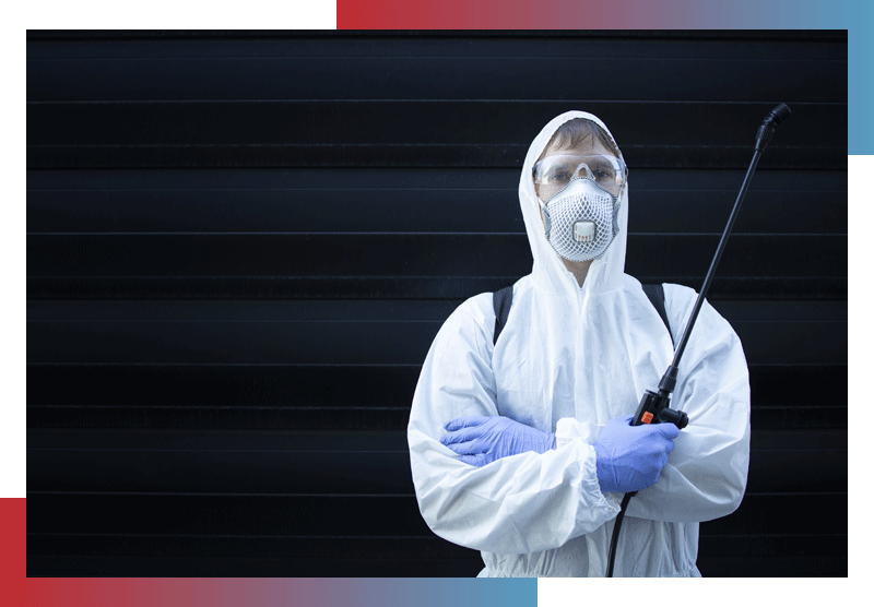 Rodent Control Treatment Infinity Cleaning And Pest Control Service