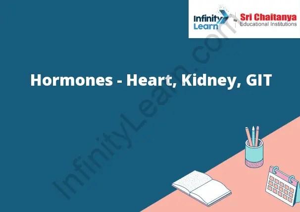 The Impact Of Hormones On Heart Function