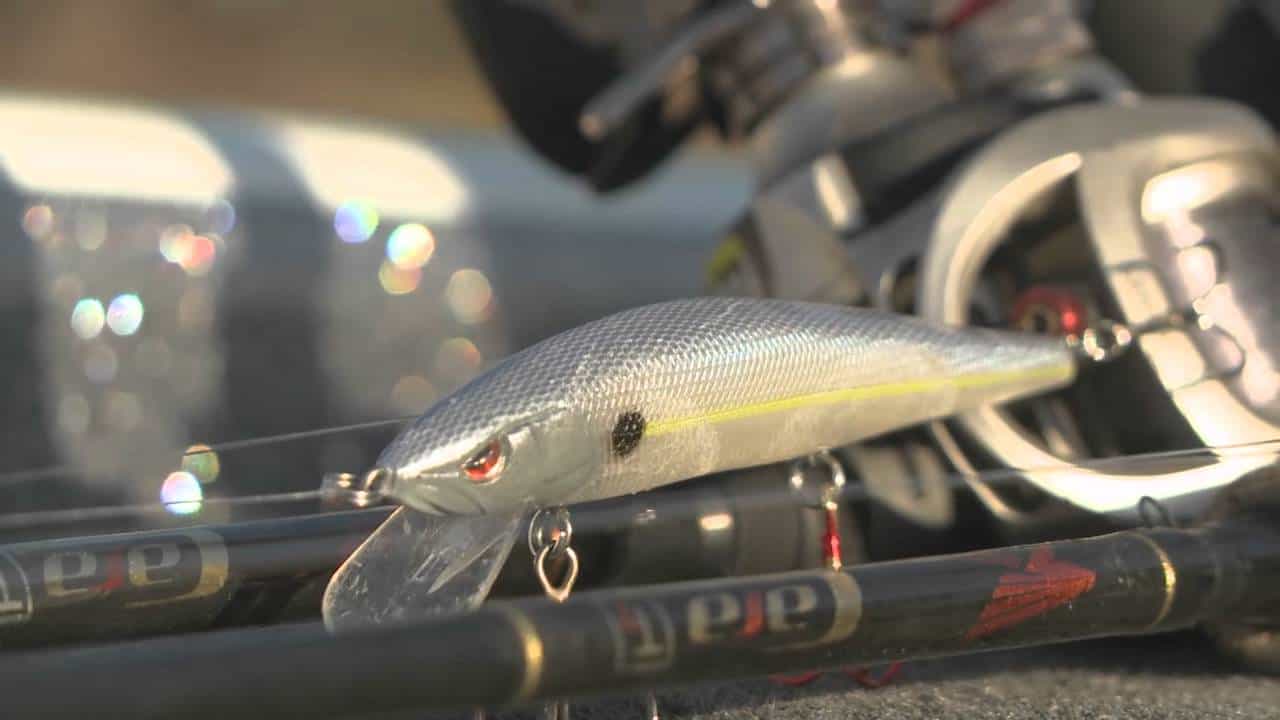 The 6 Best Jerkbait Rods in 2021 By Experts