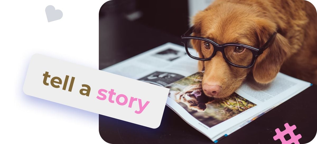 Dog hashtags for Instagram likes best Ig tags for dog accounts