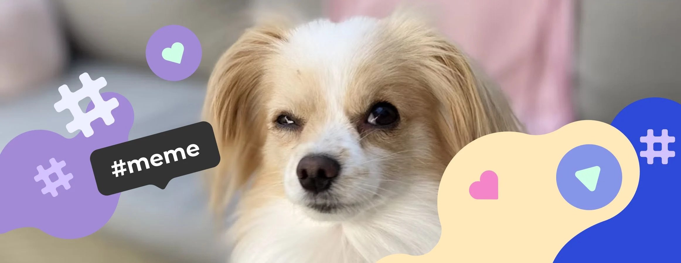 Meme hashtags for Instagram Inflact