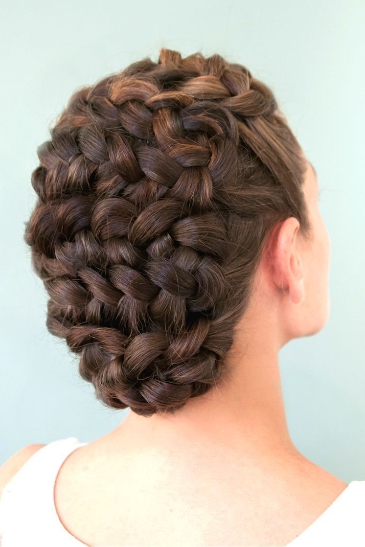 15 Photos Braided Victorian Hairstyles