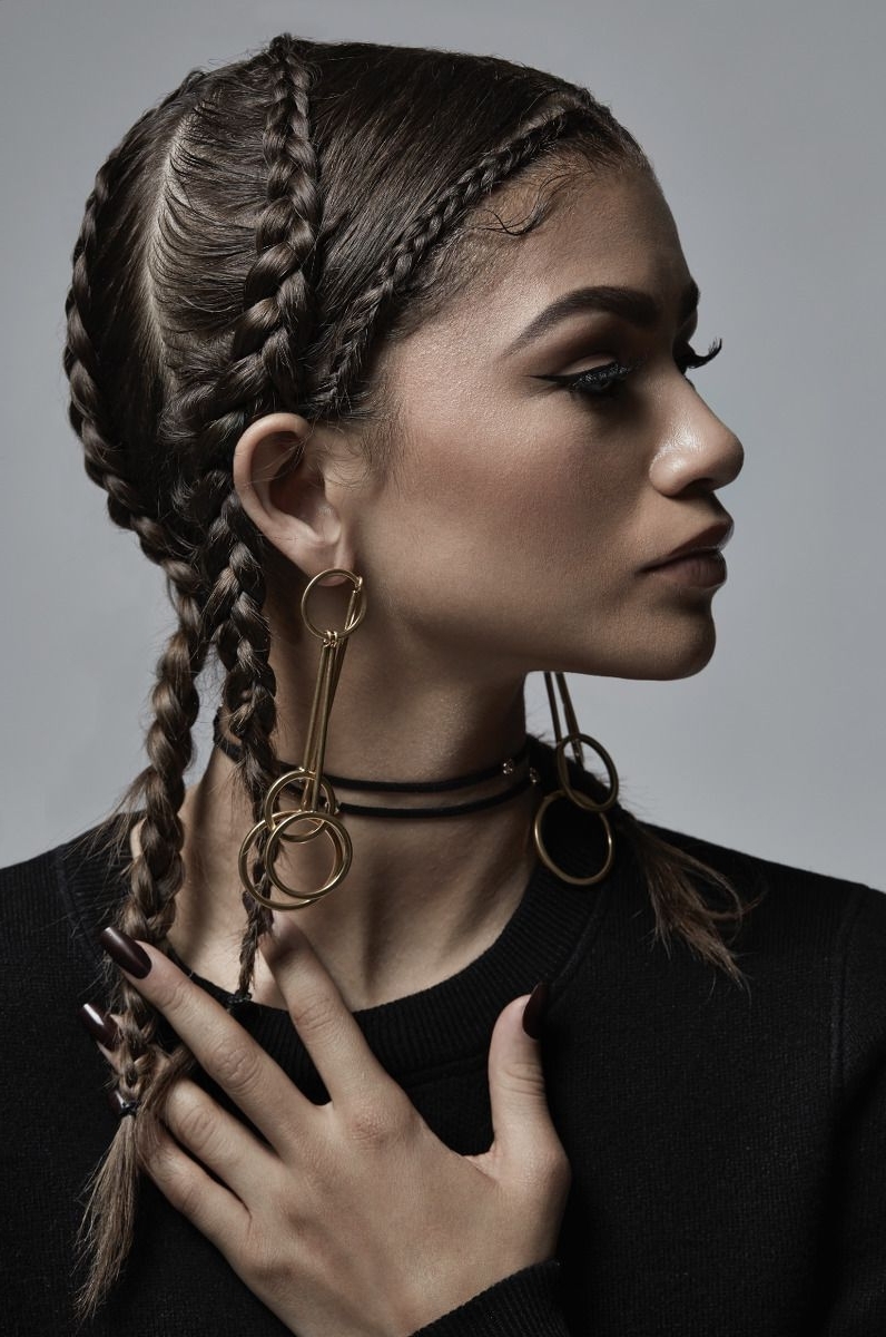15 Best Collection of Zendaya Braided Hairstyles