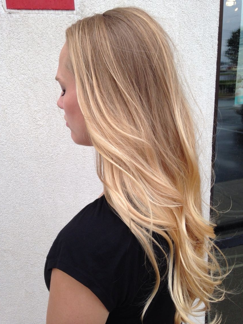 20 Photos Sunkissed Blonde Hairstyles with Sweeping Layers