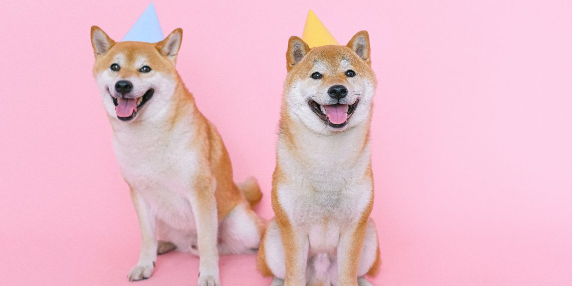 The Biggest Dog Influencers and Why You Need Them INFLOW Network